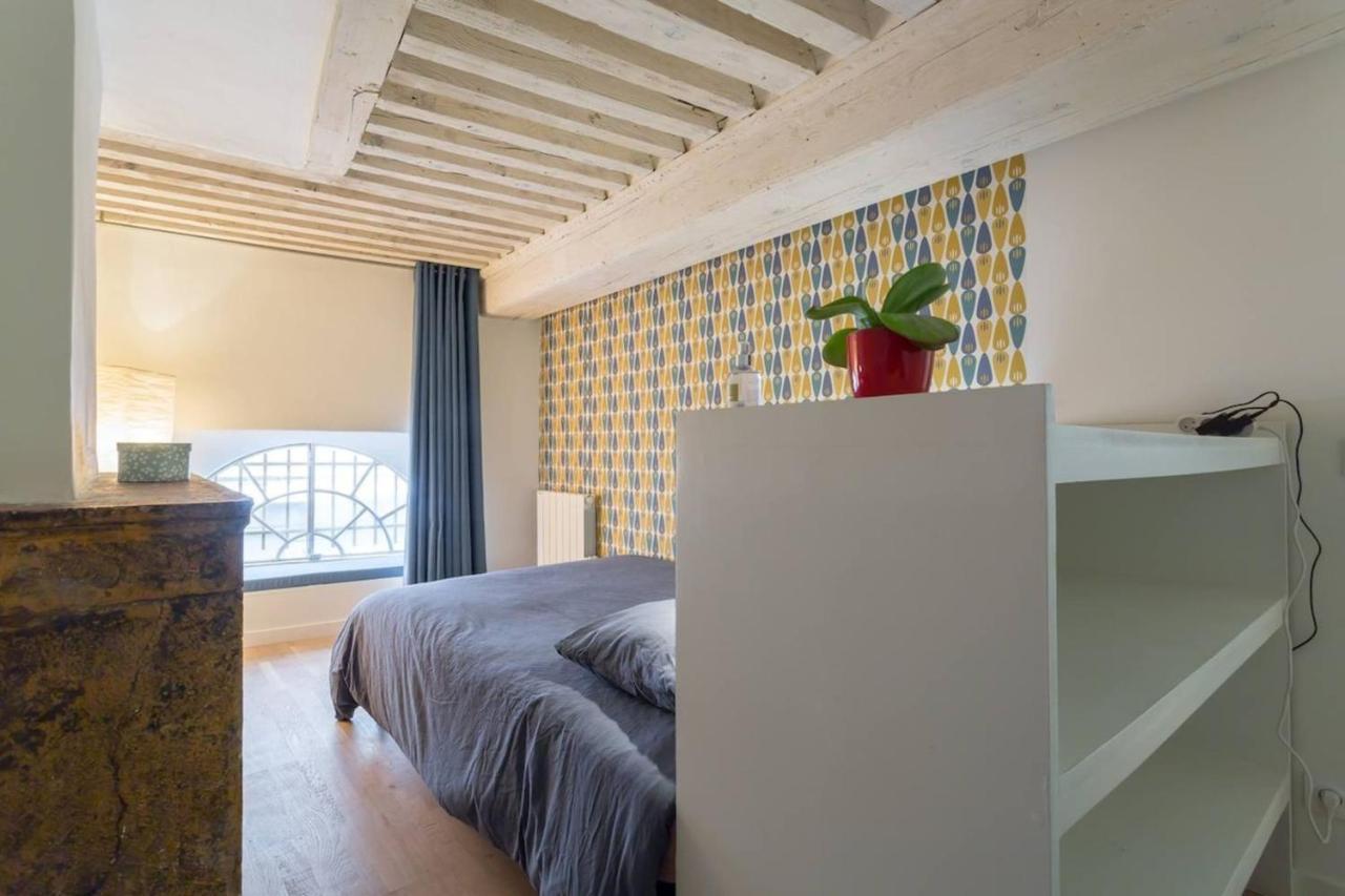 Character Apartment 6 People - City Center Lyon Buitenkant foto